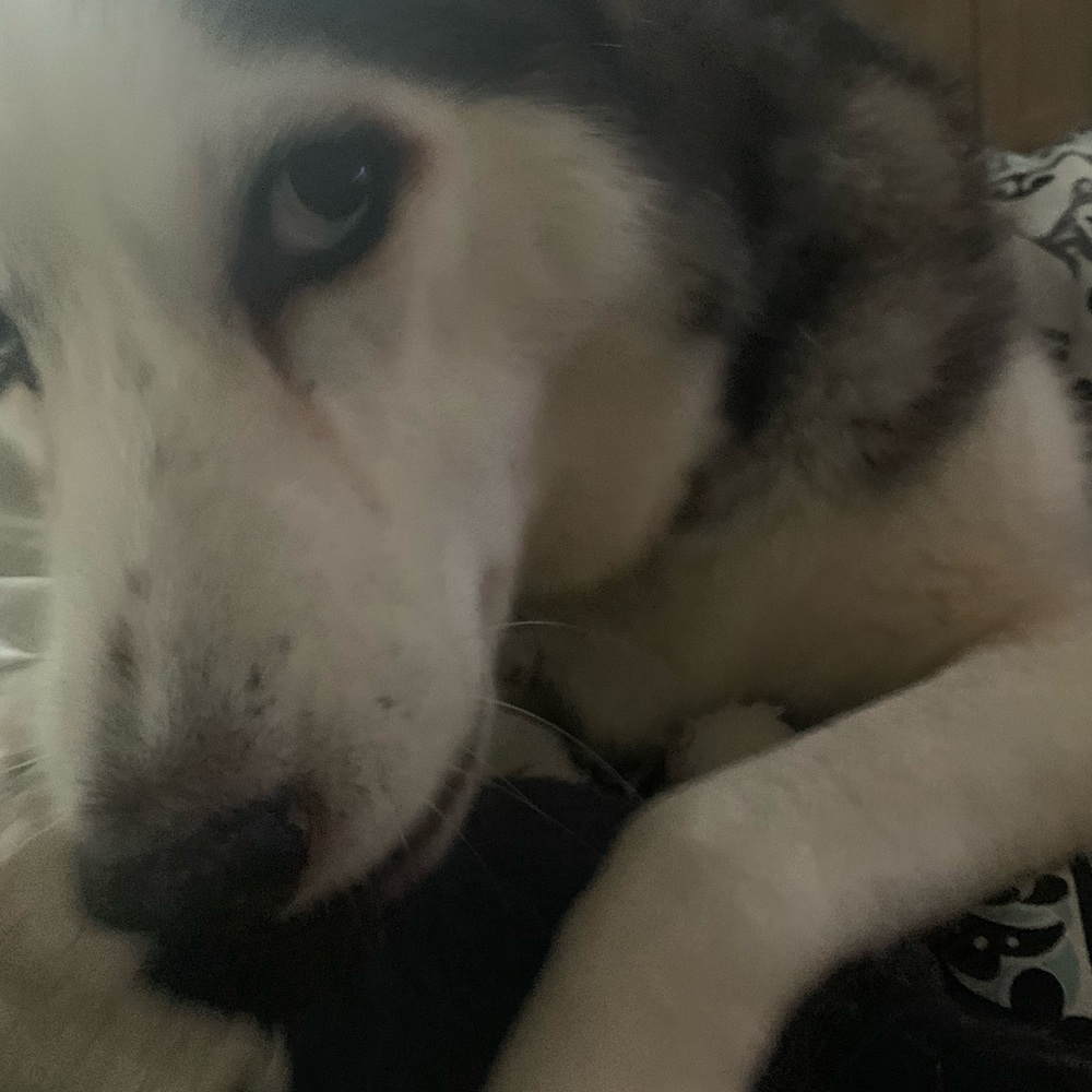 Meet your Posher, Cyndi